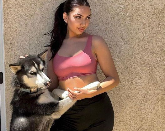 Comfortable but Not Tight Bra: Shop Now at Cosmolle