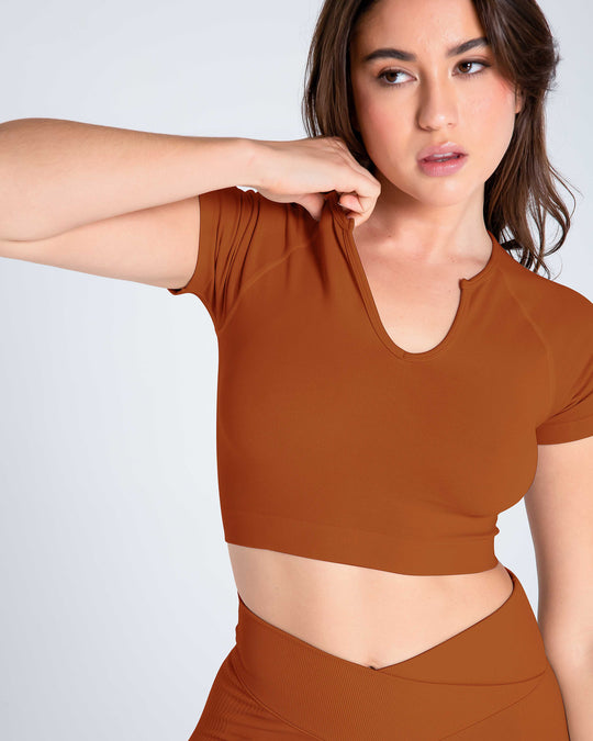 Premium Seamless V-neck Crop Top
